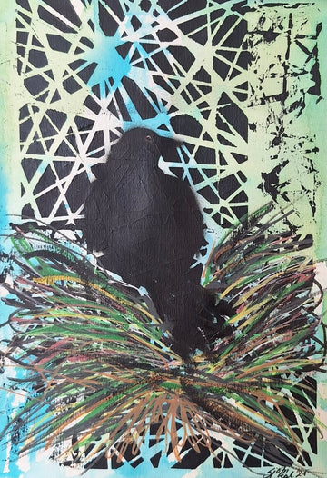 Hrafn - Hreiður undirbúningur